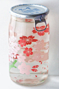 #瓶子#酒盅是有限的设计，只要樱花盛开的！（我不知道我喜欢什么更好的设计或事实上，在日本，他们卖的缘故支配，设计师罐。）