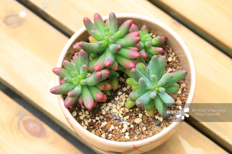 a565677362603907169284b58416147999db6faa233c5-RLcAwI