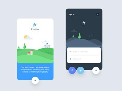 Flutter intro screen...