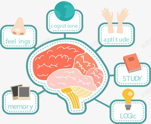 a5808c5c299f10f98a81990b8943e67e50ff93d19789-tmt4jW