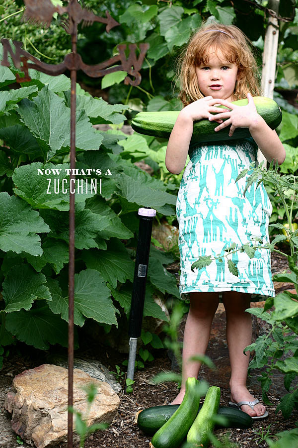 FoodieCrush-Zucchini...