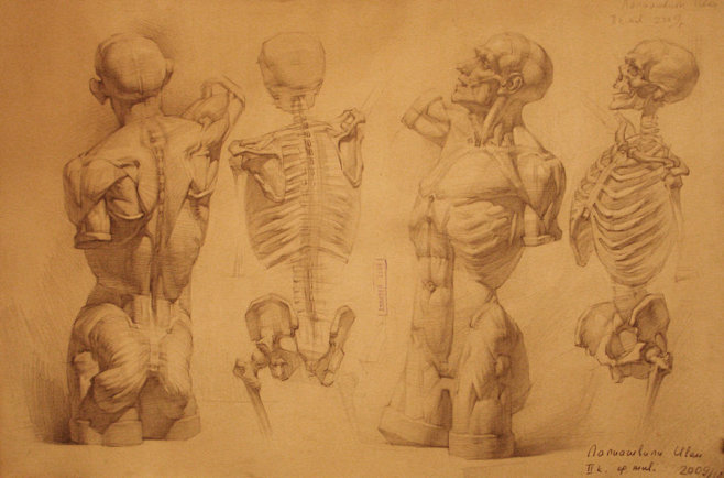 human anatomy 22 by ...