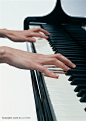 乐器-正在弹钢琴的双手高清图片