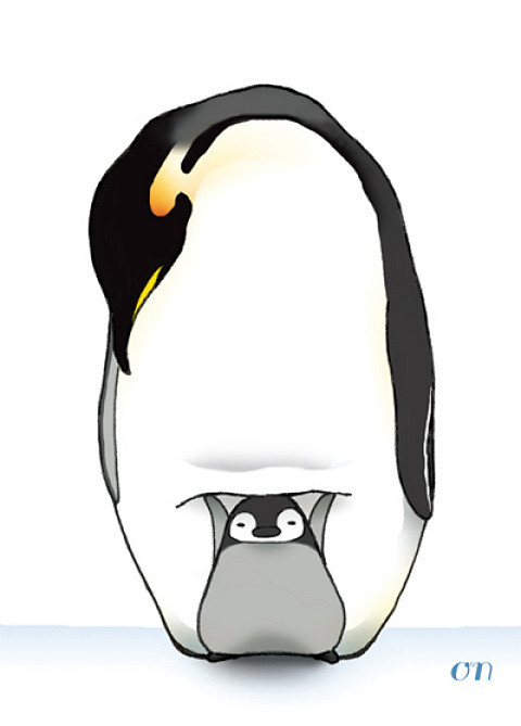 【治愈系动物系列】企鹅篇 : “企鹅”的...