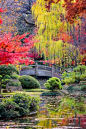 The World’s Most <a class="pintag" href="/explore/Beautiful/" title="#Beautiful explore Pinterest">#Beautiful</a> Botanical Gardens in <a class="pintag searchlink" data-query="%23Japan" data