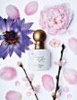 Fragrances: Life, Beauty Stills, Perfume, Cosmetic, Design