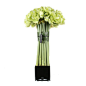 giant-green-couture-amaryllis-topiar.jpg