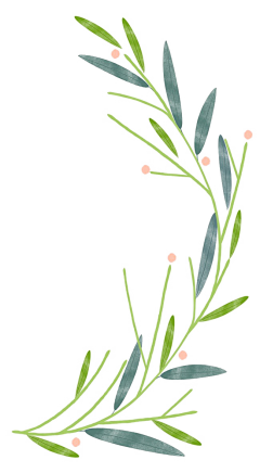 日月冥九幽采集到植物