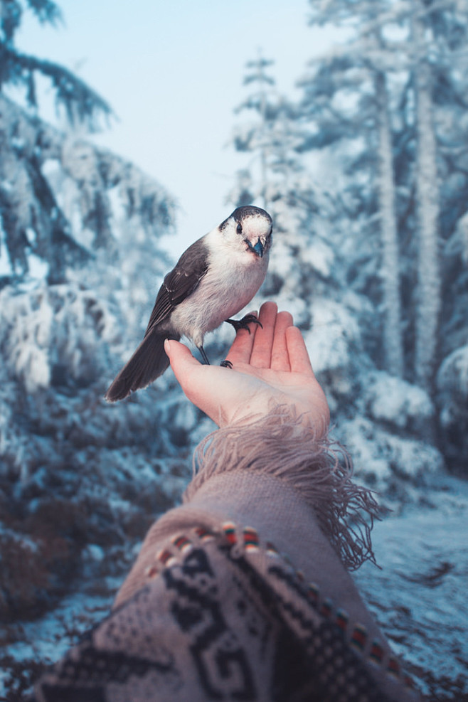 by Elizabeth Gadd