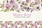 手绘水彩淡紫色花卉植物设计素材 Mauve-Rose-Watercolor-Floral-Clipart #2997079-设计元素-@美工云(meigongyun.com)