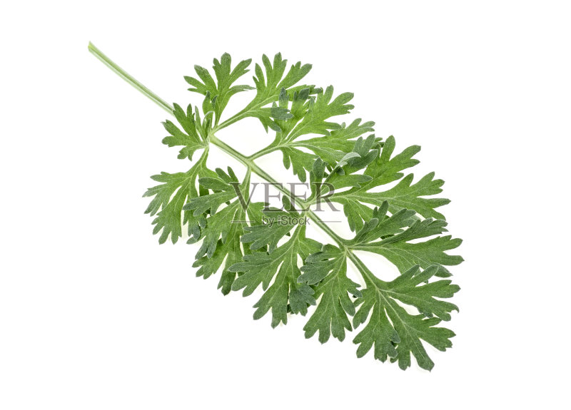 a5af319e26f57be3840dc9933f901f128da6425010b5d-XxqR4T