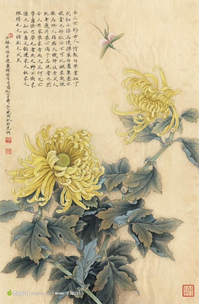 菊花蚱蜢精品国画