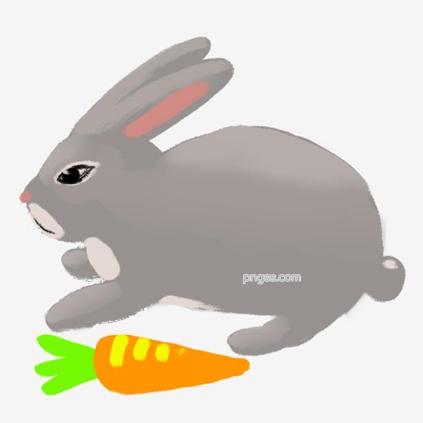 a5b7e77bb3a432e5c71c67036efbc8cc39d8c1cc4372-cgVxuQ