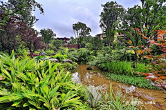 严老师（植栽设计）采集到传统居住区