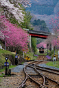 渡良濑川溪谷铁道，足尾线。摄影by カマスキー