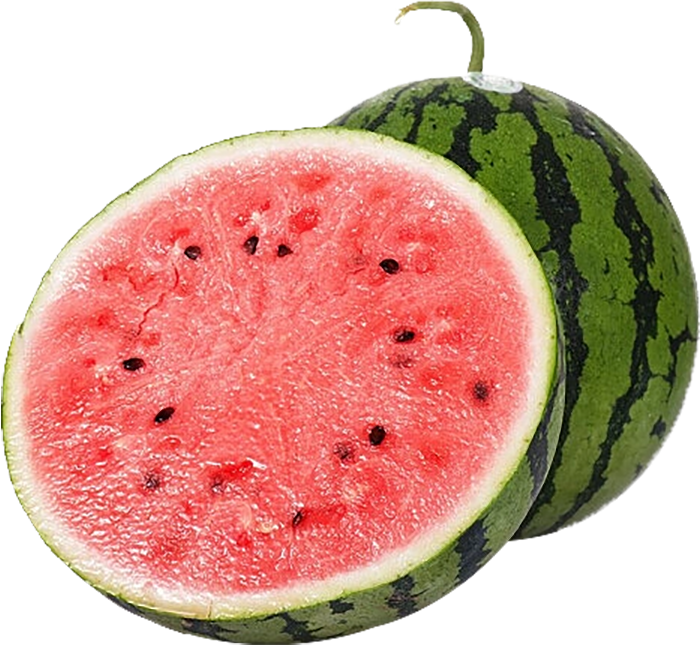 a5c8c9634e8dd0590b4a179db862b1f22e45f2ffaf73f-Vw9tXG