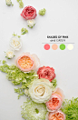 10 Wedding Color Palettes You Need to Consider! #Wedding