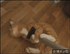 LION先生采集到GIF