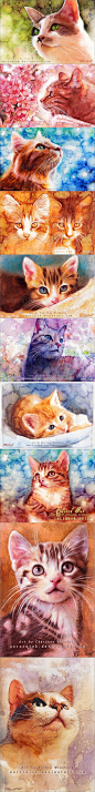 绘画 水彩 猫 德国画家@Auroraink非常擅长使用水彩、钢…