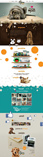 Unique Web Design, Divino Pet #WebDesign #Design