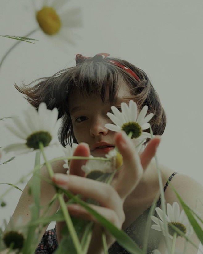 flowers | Marta Beva...