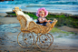 Vanessa Kay在 500px 上的照片Beach Baby in a Buggy