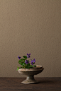 2012年4月19日（木）
菫はいつもうつむきかげんで、声をかけたくなります。
花＝匂菫（ニオイスミレ）
器＝須恵器高杯（古墳時代）