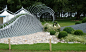 Wave Dance' (Gold) designed by John Everiss at RHS Tatton Park