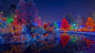 BCVanDusenLights_加拿大，温哥华，不列颠哥伦比亚，温哥华植物园的圣诞赏灯 (© Michael Wheatley/age fotostock)