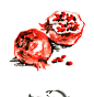 660日式中国风兰花腊梅石榴山间中式水墨装饰插画JPG高清大图素材-淘宝网