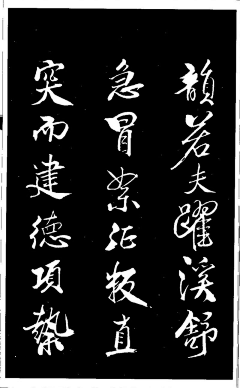 C花大盗采集到字画