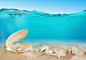 夏日清凉海滩与珍珠贝壳风景高清图片