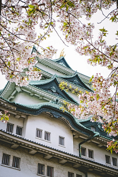 小柒〝采集到旅游