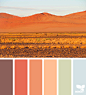 Design Seeds : Design Seeds color palettes ... posted daily for all who love color.