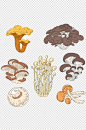 手绘卡通蔬菜植物蘑菇香菇菌类美食素材