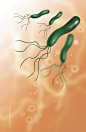 生物细胞细菌DNA分子组成化学结构_PSD设计元素：