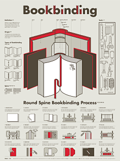 Suzanne采集到infographics