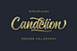 Candelion-Script_字体下载_手写字体