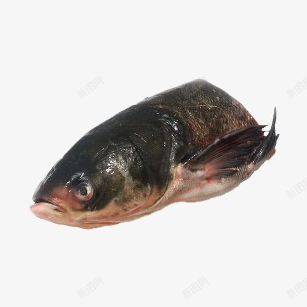 a69d049a41c678fae55f8161caf5bea95ed379115541-UluT51