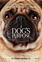 A Dog’s Purpose Poster 2
