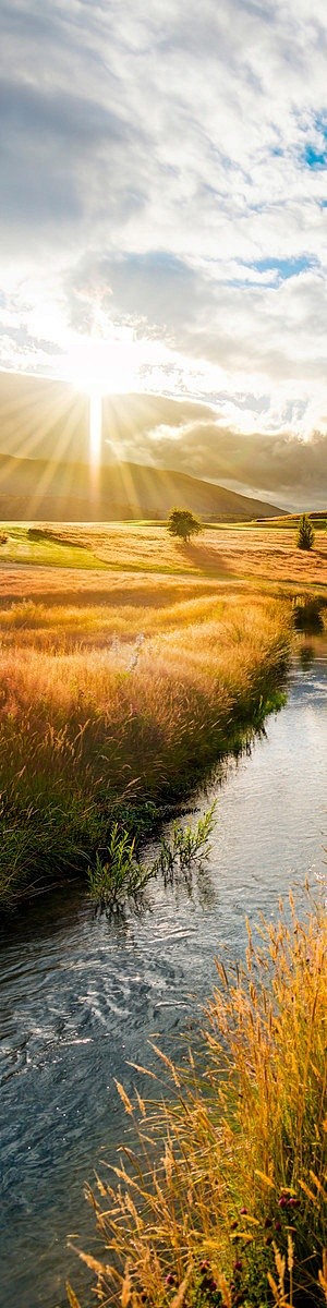 Sunset in the fields...