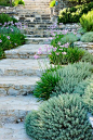 garden steps