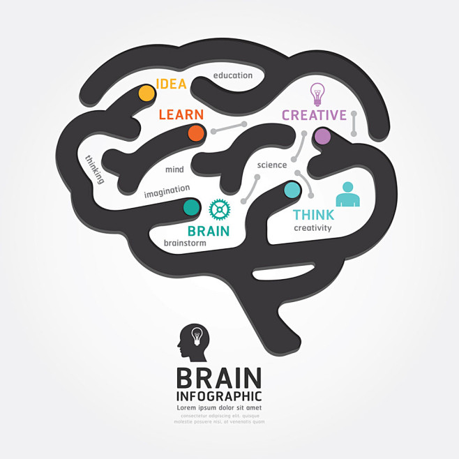 创意大脑信息图表图片