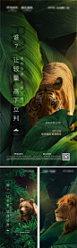 【源文件下载】 海报 房地产 马戏团 系列 活动 悬念 老虎 狮子 熊设计作品 设计图集