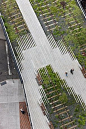 The Highline from above! Notice the interesting pattern the path makes.
