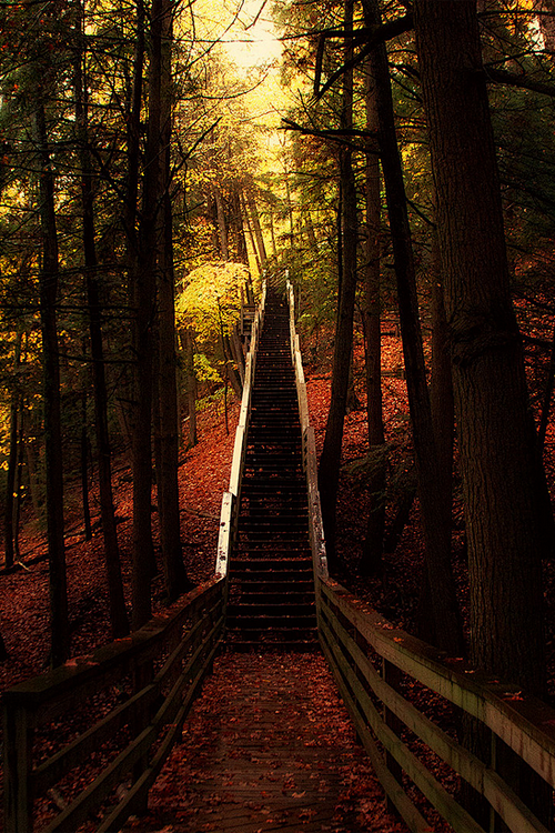 森林楼梯，拉哥市，密歇根 
