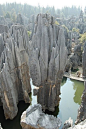 The Stone Forest China