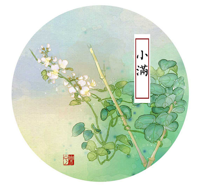 小满-樂兮_24节气  花  水彩 古风...