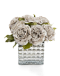 Sheffield Roses - Botanicals - Accessories & Botanicals - Our Products