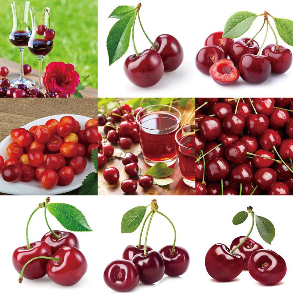 a753366b604e761e616c12088ef1a0d6db9ceacf39398-cv8O1Z